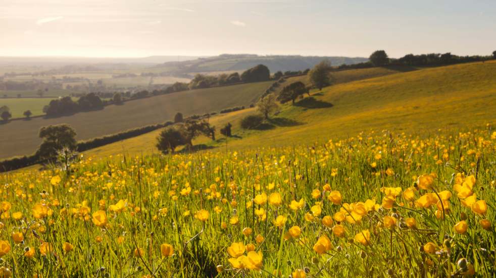 The Boundless guide to walking North Downs Kent